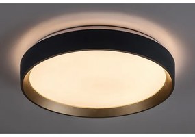 Plafonieră LED Rabalux 71185 LIATRIS LED/25W/230V 3000K d. 38 cm