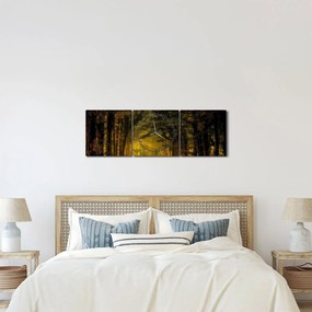 Tablou cu pădure (cu ceas) (90x30 cm)