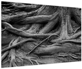 Tablou - Rădăcinile copacului (90x60 cm)