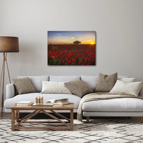Tablou cu lunca și macii (70x50 cm)
