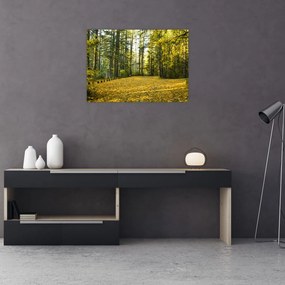 Tablou pe sticlă - pădurea toamna (70x50 cm)