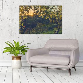 Tablou - Podgorii (90x60 cm)