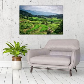 Tablou cu câmp de orez (90x60 cm)
