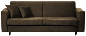 Canapea Fixă Carola, 220x104cm, Personalizabilă Canapea Fixa Clasa 1