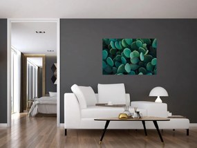Tablou - Opuntia (90x60 cm)