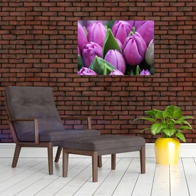 Tablou pe sticlă - florile lalelelor (70x50 cm)