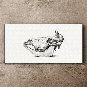 Tablou canvas Desen craniu de vacă
