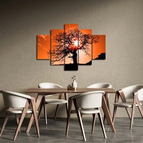 Tablou - Fag la apus de soare (150x105 cm)