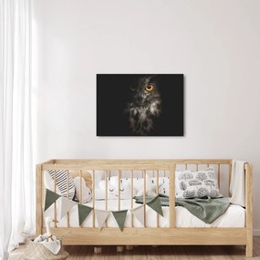 Tablou cu bufnița (70x50 cm)