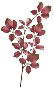 Crenguta BEERENZWEIG, fibre sintetice, 91 cm