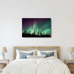 Tablou cu Northern Lights (90x60 cm)
