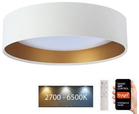 Plafonieră LED SMART GALAXY LED/24W/230V Wi-Fi Tuya albă/aurie + telecomandă
