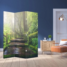 Paravan - Trepte din lemn în pădure (126x170 cm)
