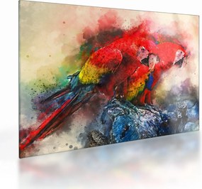 Tablou pe sticlă - Papagali roșii ara (70x50 cm)