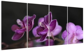 Tablou - flori (160x80cm)