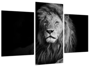 Tablou - Leu, alb și negru (90x60 cm)