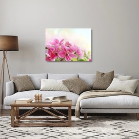 Tablou pe sticlă - Flori roz (70x50 cm)