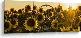 Tablou cu lan de floarea soarelui (cu ceas) (90x30 cm)