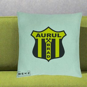 Perna Personalizata Aurul Brad Fotbal, 40x40 cm, Verde Menta, Husa Detasabila, Perna Inclusa, BEKZ®