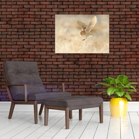 Tablou - Bufnița roșie (70x50 cm)