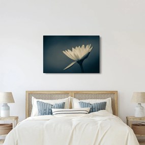 Tablou cu flori (90x60 cm)
