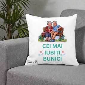 Cadou pentru Bunici - Perna Personalizata Cei Mai Iubiti Bunici Cuplu pe Banca Ilustratie, 40x40 cm, Alba Mata, Husa Detasabila, Perna Inclusa, BEKZ®