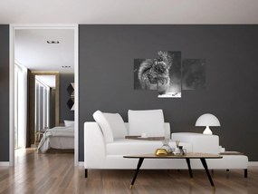 Tablou - Veveriță în timpul iernii (90x60 cm)