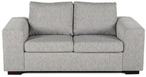 Canapea Scandinavian Choice 894 Numărul de locuri: 2, Gri deschis, 172x90x84cm, Tapiterie, Picioare: De lemn