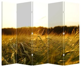 Paravan Iarba cu rouă (210x170 cm)