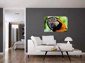 Tablou cu papagal (90x60 cm)