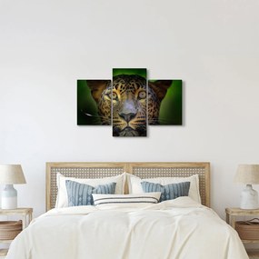 Tablou - Portretul leoparduslui, Sri Lanka (90x60 cm)