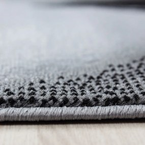 Covor gri închis 80x150 cm Plus – Ayyildiz Carpets