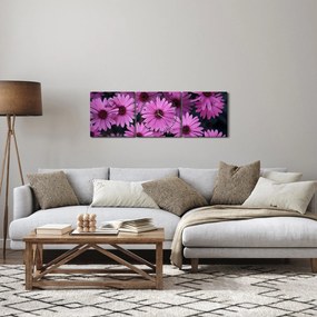 Tablou cu florile roz (cu ceas) (90x30 cm)