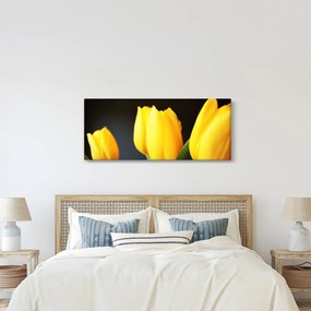 Tablou cu lalele (120x50 cm)