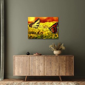 Tablou cu fluturi (70x50 cm)