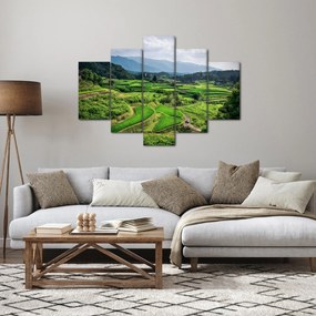 Tablou cu câmp de orez (150x105 cm)