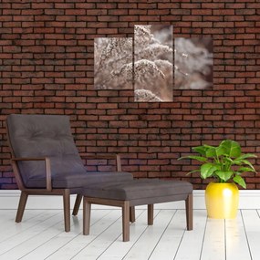 Tablou cu plante (90x60 cm)