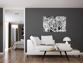 Tablou - Frunze înghețate,alb-negru (90x60 cm)