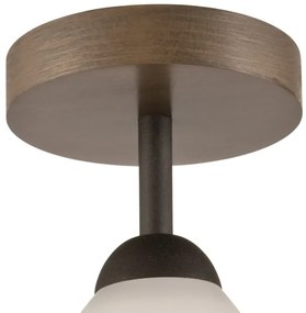 Lustr ADRIANO 1xE27/60W/230V, přisazený model