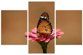 Tablou cu fluture pe floare (90x60 cm)