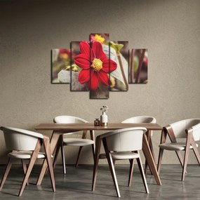 Tablou cu floare (150x105 cm)