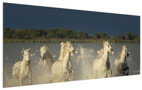 Tablou cu cai albi (120x50 cm), în 40 de alte dimensiuni noi