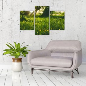 Tablou cu natura - lunca (90x60 cm)