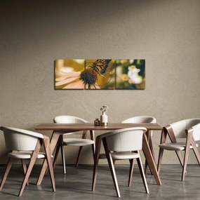 Tablou cu fluture pe floare (cu ceas) (90x30 cm)