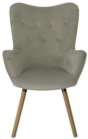 Fotoliu din catifea gri deschis, COZY