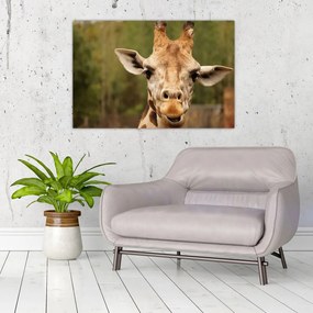 Tablou girafe (90x60 cm)