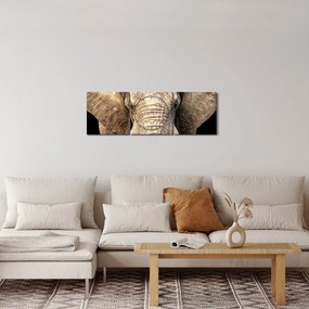 Tablou - Elefant african (cu ceas) (90x30 cm)