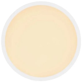 Plafonieră LED pentru baie Globo 41562-18W SAPANA LED/18W/230V IP44