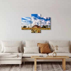 Tablou cu câmp de floarea soarelui (90x60 cm)