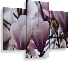 Tablou - Magnolie (90x60 cm)